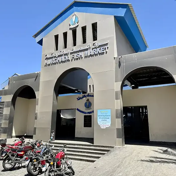 Hurghada Guided City Highlights Tour