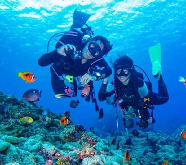 Hurghada - Diving cruise with Dolphin Watching, Snorkeling and Drinks