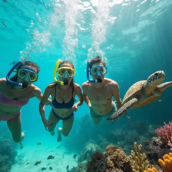 Dolphin House Snorkeling and Swimming with Dolphins from Hurghada