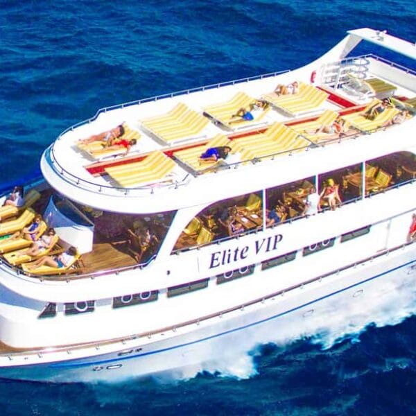 Elite VIP Elite Snorkelling in Turtle Bay Marsa Alam