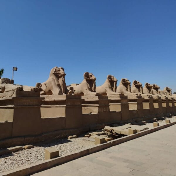 Private Luxor day tour with transfer