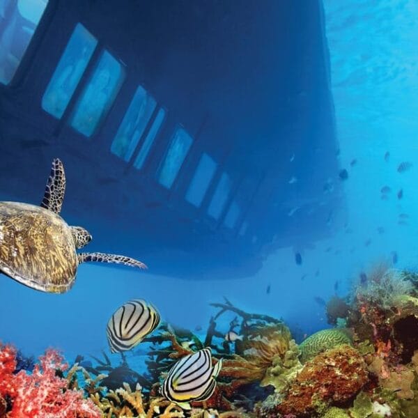 hurghada royal sea scope