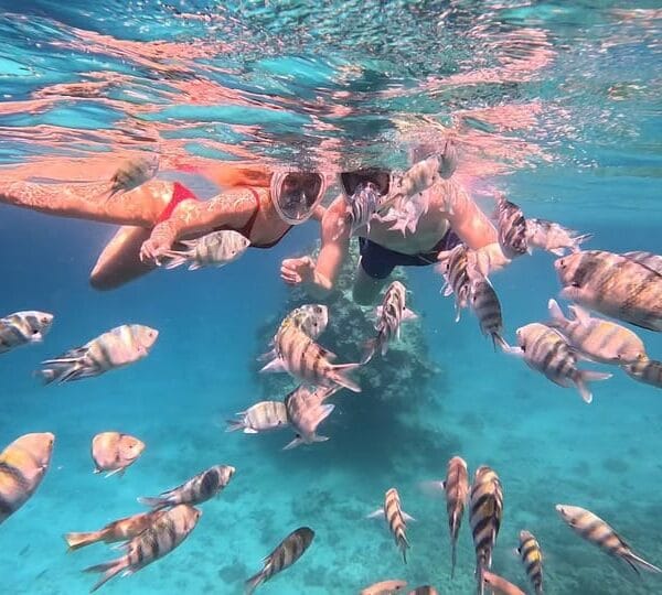 Private Speedboat Adventure with Drinks from Hurghada