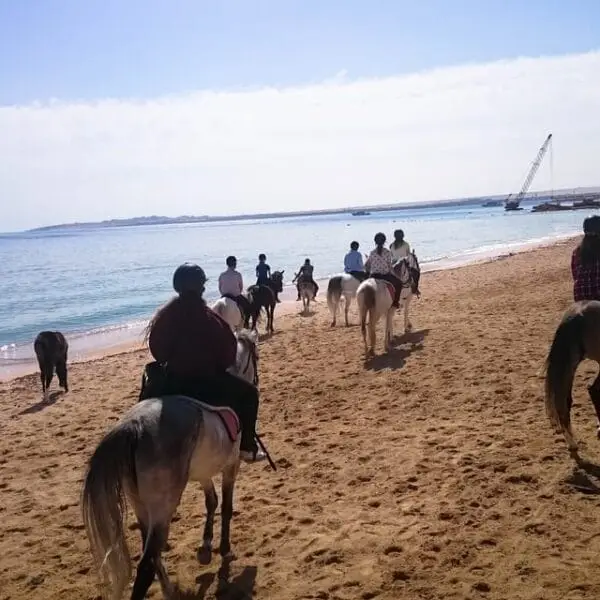 Desert and Sea Horseback Riding Tour from Hurghada