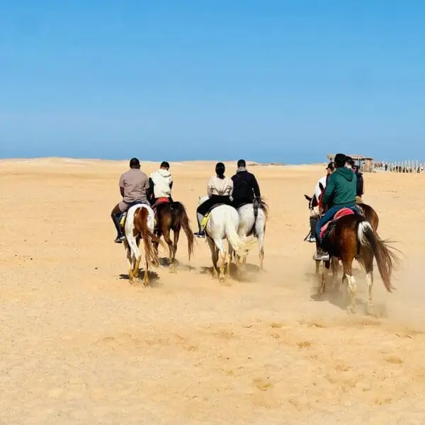 Desert and Sea Horseback Riding Tour from Hurghada