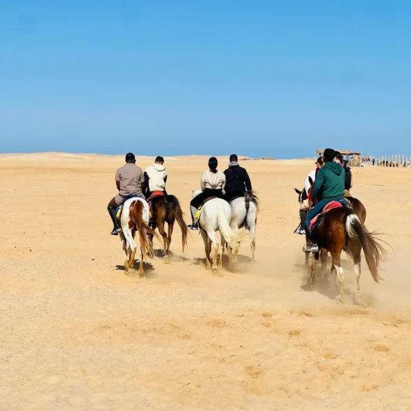 Desert and Sea Horseback Riding Tour from Hurghada