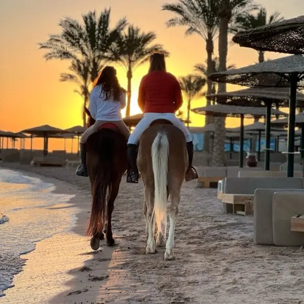 Desert and Sea Horseback Riding Tour from Hurghada