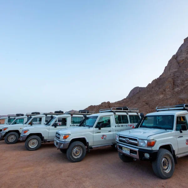 5 Hours Safari by Quad Bike, Buggy, and Camel Ride & Bedouin Village with Party and Dinner from Hurghada