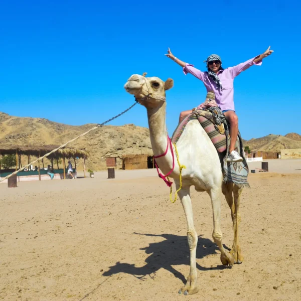 5 Hours Safari by Quad Bike, Buggy, and Camel Ride & Bedouin Village with Party and Dinner from Hurghada