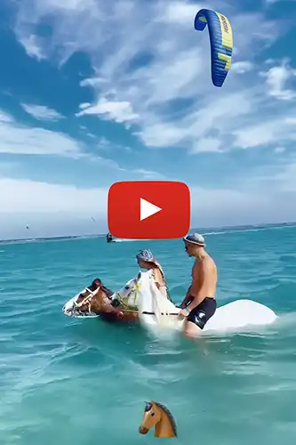 Desert and Sea Horseback Riding Tour