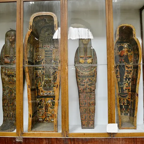 Private Group Day Trip to the Egyptian Museum of Cairo (EMC)