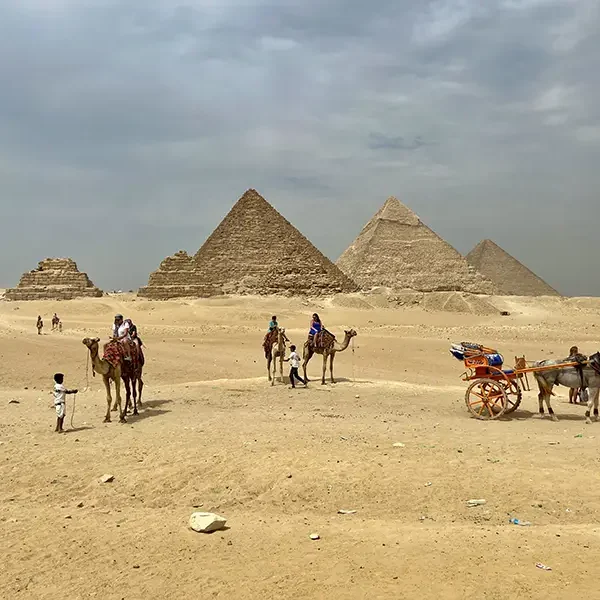 Private Group Day Trip to the Egyptian Museum of Cairo (EMC)