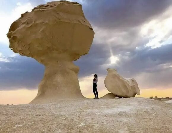 White & Black Desert Tour from Cairo