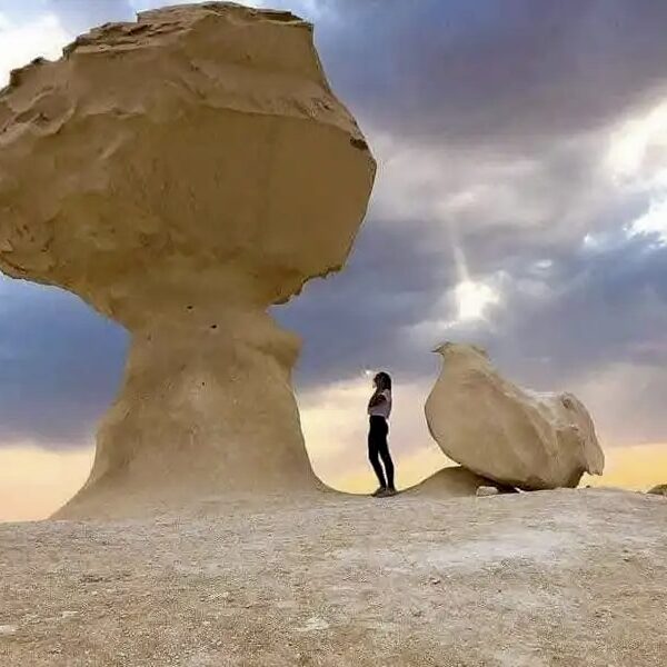 White_desert-01