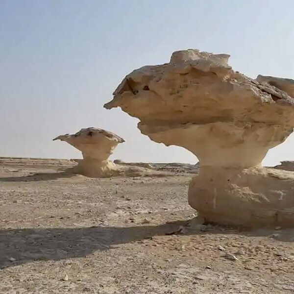 White_desert-09