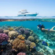 Hurghada Excursions 2026: The Ultimate Guide to Your Adventure