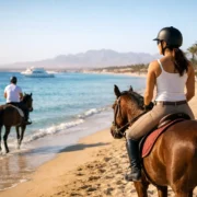 Horse Riding Hurghada Beach: What to Expect