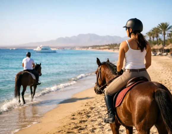 Horse Riding Hurghada Beach: What to Expect