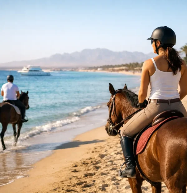 Horse Riding Hurghada Beach: What to Expect