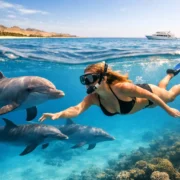 Swimming with Dolphins Egypt Guide