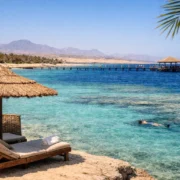 When to Visit Marsa Alam for the Best Trip