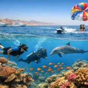 7 Top Red Sea Marine Experiences