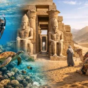 Best Marsa Alam Day Tours to Book