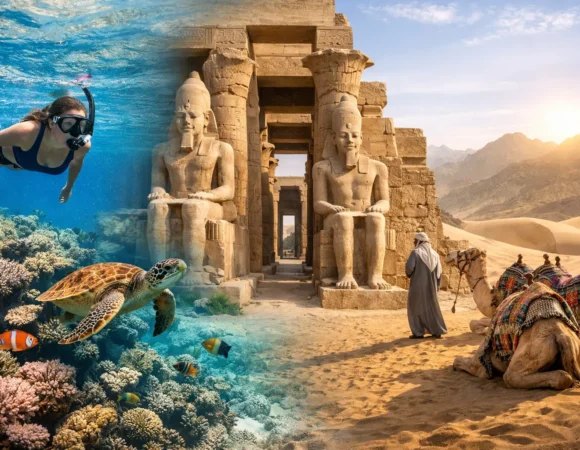 Best Marsa Alam Day Tours to Book