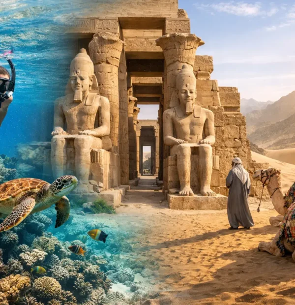 Best Marsa Alam Day Tours to Book