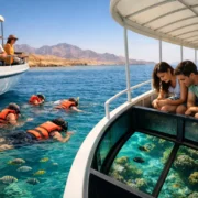 Best Red Sea Excursions for Non Swimmers