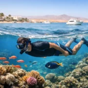 Is Snorkeling in Hurghada Worth It? Honest Guide