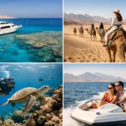 Red Sea Excursions for Every Kind of Day