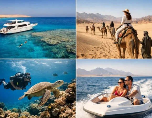 Red Sea Excursions for Every Kind of Day