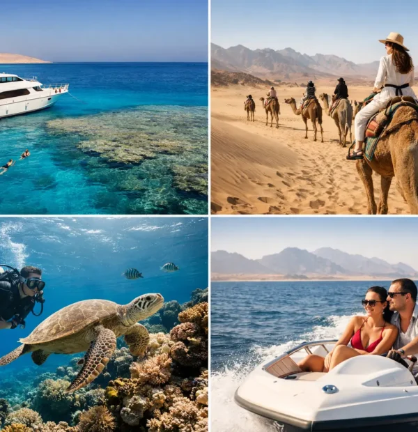 Red Sea Excursions for Every Kind of Day