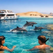 Dolphin House Boat Trip Review: Is It Worth It?