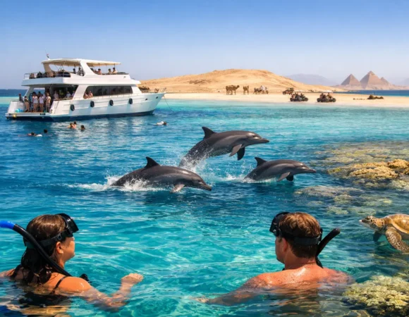 Dolphin House Boat Trip Review: Is It Worth It?