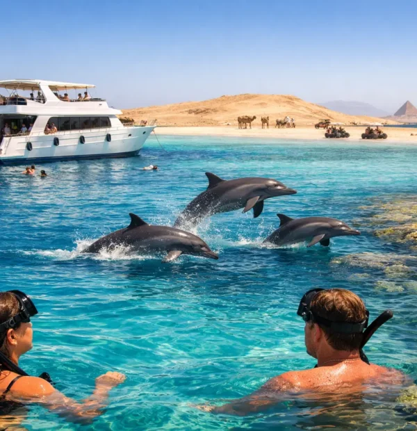 Dolphin House Boat Trip Review: Is It Worth It?