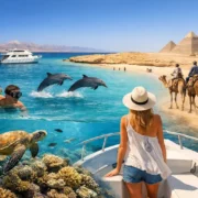 How to Choose a Red Sea Island Trip in Egypt
