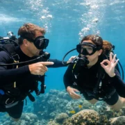 Intro Diving Experience Review: Worth It?