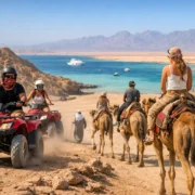 Quad Bike and Camel Safari Hurghada Guide