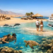 Red Sea Island Trip Guide for Your Perfect Day