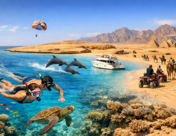 Red Sea Marine Trip Guide for Hurghada Days