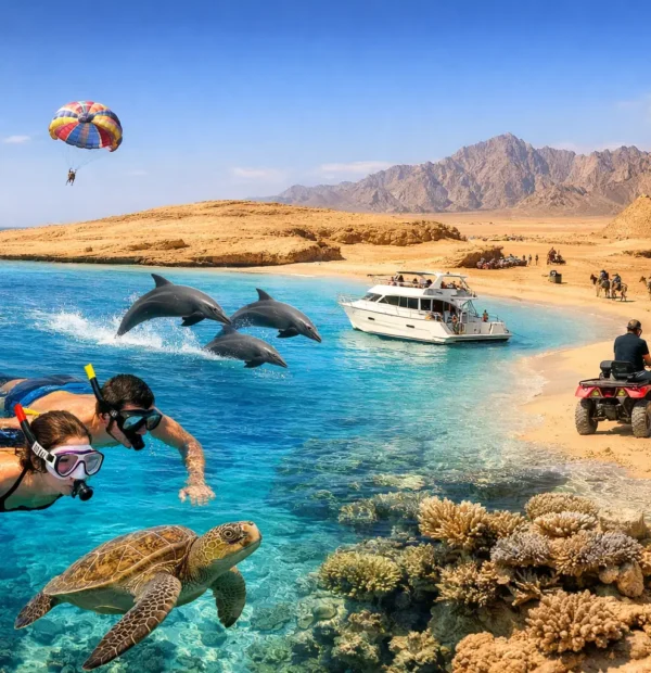 Red Sea Marine Trip Guide for Hurghada Days