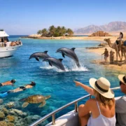 Sahl Hasheesh Island Boat Trips Worth Booking