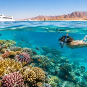10 Best Red Sea Coral Reefs for Hurghada Trips