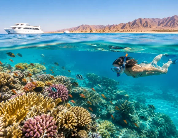 10 Best Red Sea Coral Reefs for Hurghada Trips