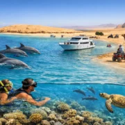 Dolphin House: A Red Sea Day Worth Taking