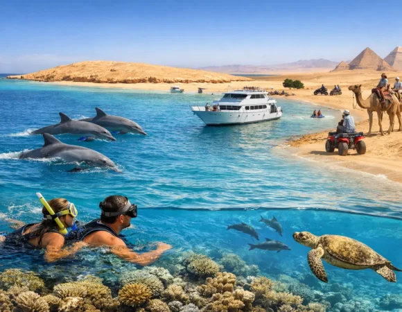 Dolphin House: A Red Sea Day Worth Taking
