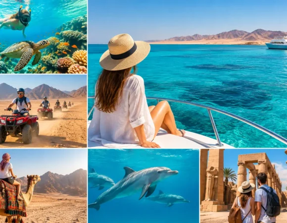How to Choose Hurghada Excursions That Fit You