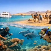 How to Choose Scuba Diving Trips in Hurghada